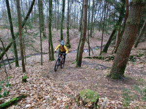 Trail riding in the Spessart. 